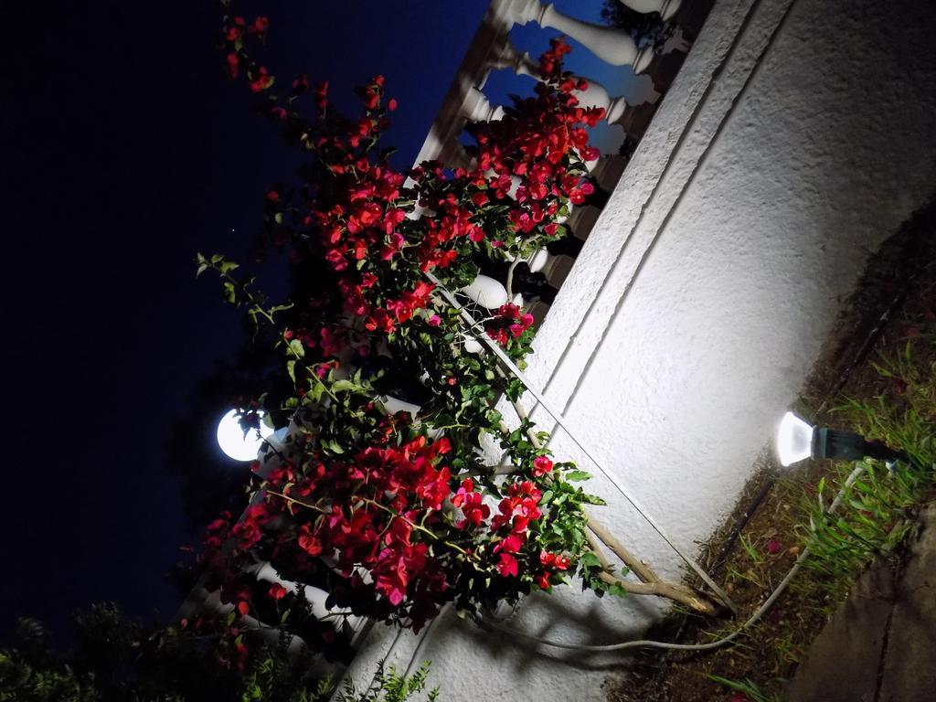 Galaxy Hotel Argostolion Dış mekan fotoğraf