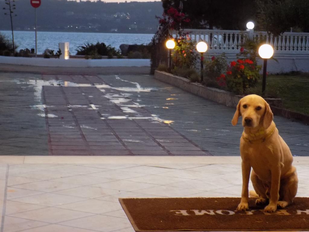 Galaxy Hotel Argostolion Dış mekan fotoğraf